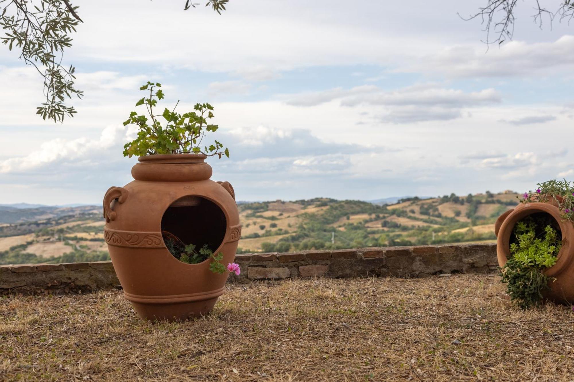 Tenuta Fattoria Vecchia